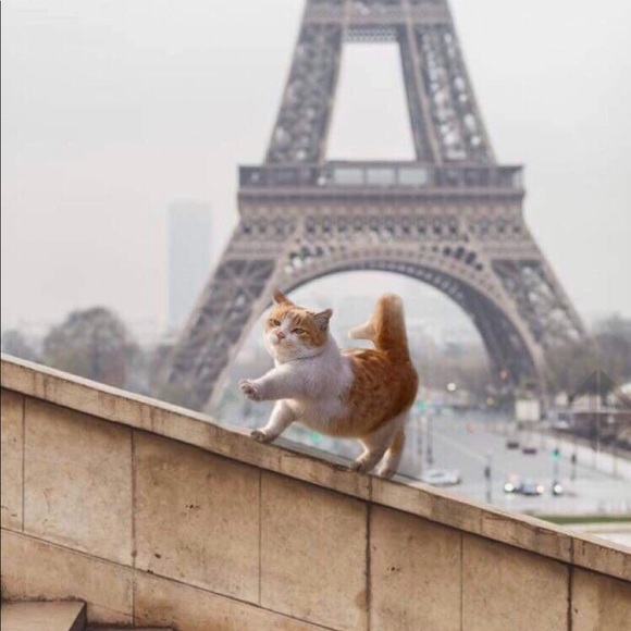 Meet your Posher, Edward - Picture 1 of 1